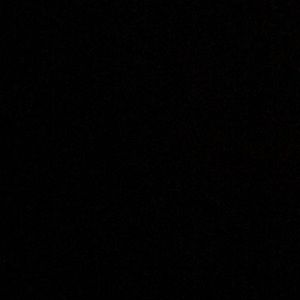 Meet your Posher, Julian